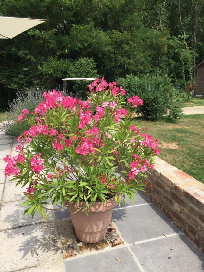 Le Clos Du Golf Dame-Marie-les-Bois Exterior foto