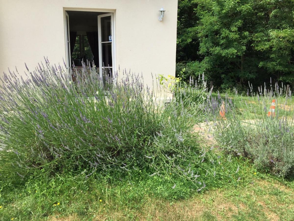 Le Clos Du Golf Dame-Marie-les-Bois Exterior foto